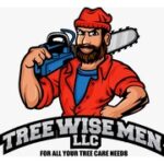 Tree Wise Men Tree Wise Men