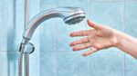 Champion Plumbing